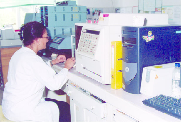 Gjergj Kastrioti Foundation archive: healing and events across europe photo