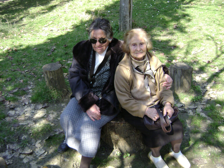 Gjergj Kastrioti Foundation archive: healing and events across europe photo