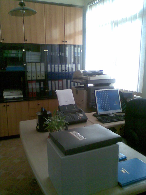 Gjergj Kastrioti Foundation archive: healing and events across europe photo