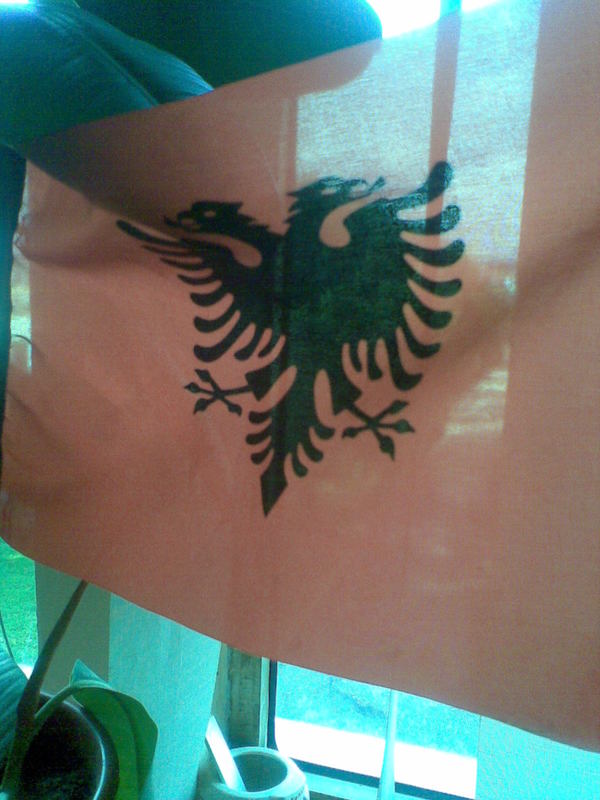 Gjergj Kastrioti Foundation archive: healing and events across europe photo